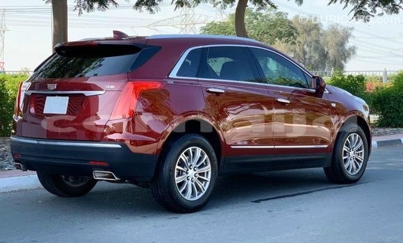 Acheter Import Voiture Cadillac XT5 Rouge à Import - Dubai, État d'Abia Acheter Import Voiture Cadillac XT5 Rouge à Import - Dubai, État d'Abia