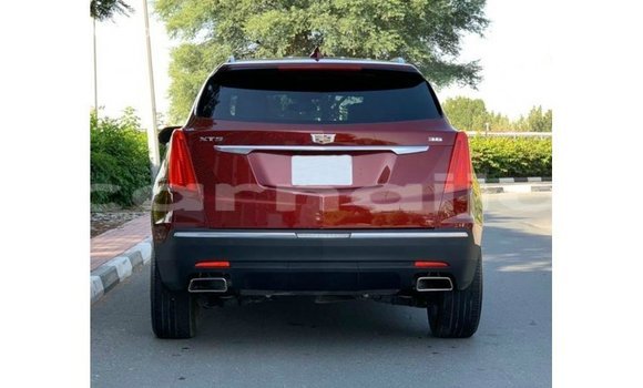 Acheter Import Voiture Cadillac XT5 Rouge à Import - Dubai, État d'Abia Acheter Import Voiture Cadillac XT5 Rouge à Import - Dubai, État d'Abia