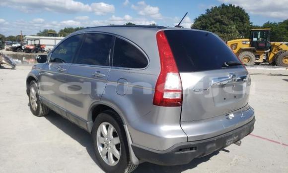 Buy New Honda CR–V Silver Car in Badagry in Lagos State Buy New Honda CR–V Silver Car in Badagry in Lagos State