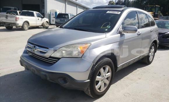 Buy New Honda CR–V Silver Car in Badagry in Lagos State Buy New Honda CR–V Silver Car in Badagry in Lagos State