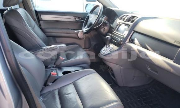 Buy New Honda CR–V Silver Car in Badagry in Lagos State Buy New Honda CR–V Silver Car in Badagry in Lagos State