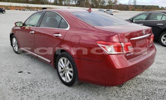 Buy New Lexus ES Red Car in Badagry in Lagos State Buy New Lexus ES Red Car in Badagry in Lagos State