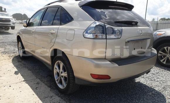 Acheter Neuf Voiture Lexus RX Marron à Badagry, État de Lagos Acheter Neuf Voiture Lexus RX Marron à Badagry, État de Lagos