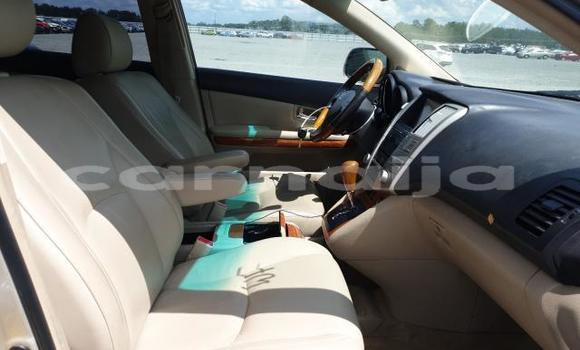 Acheter Neuf Voiture Lexus RX Marron à Badagry, État de Lagos Acheter Neuf Voiture Lexus RX Marron à Badagry, État de Lagos