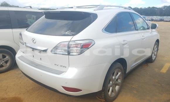Buy New Lexus RX 350 White Car in Badagry in Lagos State Buy New Lexus RX 350 White Car in Badagry in Lagos State