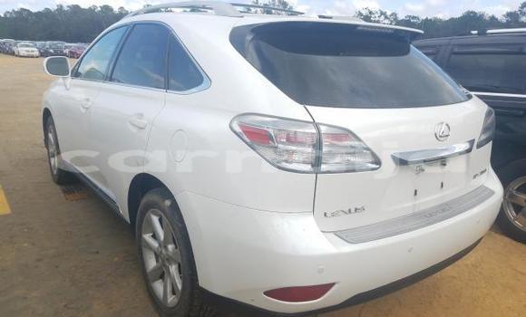 Buy New Lexus RX 350 White Car in Badagry in Lagos State Buy New Lexus RX 350 White Car in Badagry in Lagos State