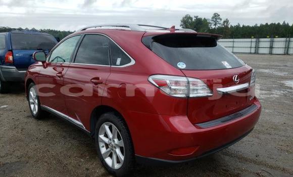 Acheter Neuf Voiture Lexus RX 350 Rouge à Badagry, État de Lagos Acheter Neuf Voiture Lexus RX 350 Rouge à Badagry, État de Lagos