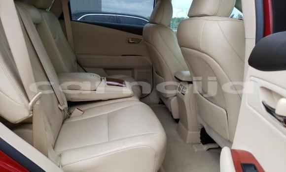 Acheter Neuf Voiture Lexus RX 350 Rouge à Badagry, État de Lagos Acheter Neuf Voiture Lexus RX 350 Rouge à Badagry, État de Lagos