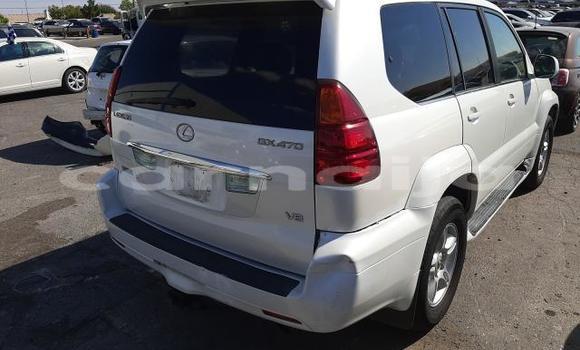 Buy New Lexus GX White Car in Badagry in Lagos State Buy New Lexus GX White Car in Badagry in Lagos State