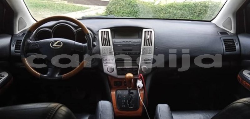 Big with watermark 58586617 160895318262743 2741017165887963136 o