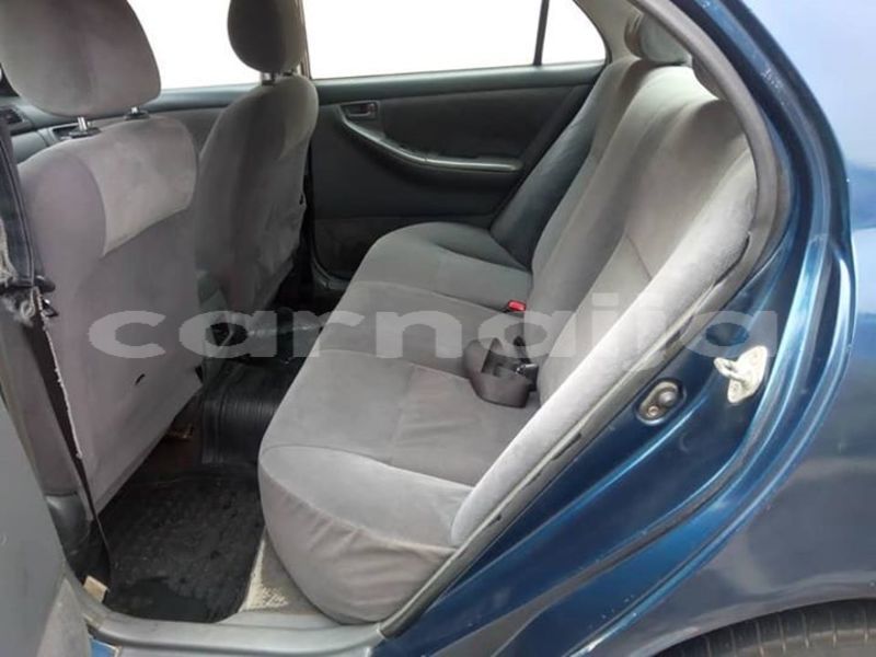 Big with watermark 57564656 2135954370028203 7631547132779954176 n