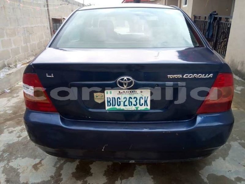 Big with watermark 57649263 2135954573361516 8582344817852284928 n