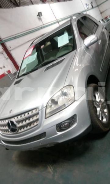 Big with watermark 57162455 2134287483528225 8735009219935207424 n