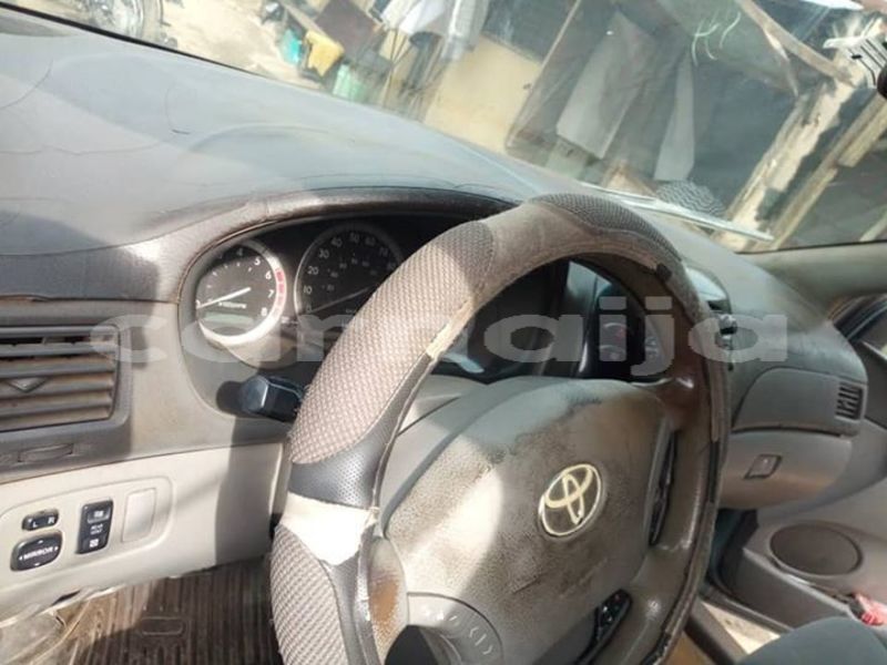 Big with watermark 56157851 2126215637668743 3947177616217210880 n