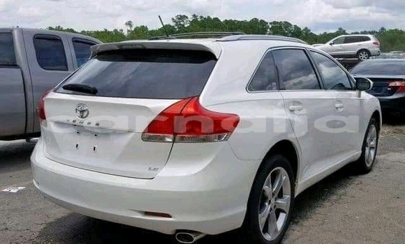 Buy New Toyota Venza White Car in Bonny in Rivers