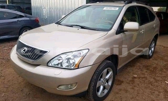 Acheter Neuf Voiture Lexus RX 350 Gris à Badagry, État de Lagos Acheter Neuf Voiture Lexus RX 350 Gris à Badagry, État de Lagos