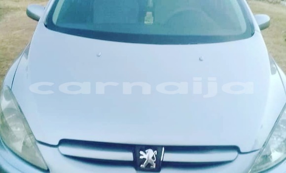 Acheter Occasion Voiture Peugeot 307 Gris à Kaduna, État de Kaduna Acheter Occasion Voiture Peugeot 307 Gris à Kaduna, État de Kaduna