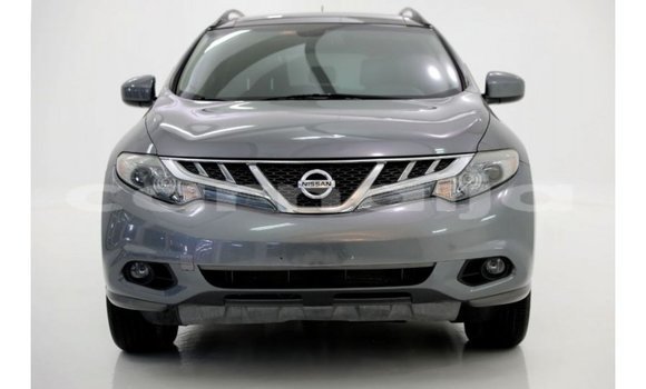 Acheter Import Voiture Nissan Murano Autre à Import - Dubai, État d'Abia