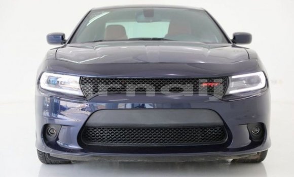 Acheter Import Voiture Dodge Charger Bleu à Import - Dubai, État d'Abia