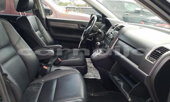 Buy New Honda CR–V Black Car in Badagry in Lagos State Buy New Honda CR–V Black Car in Badagry in Lagos State
