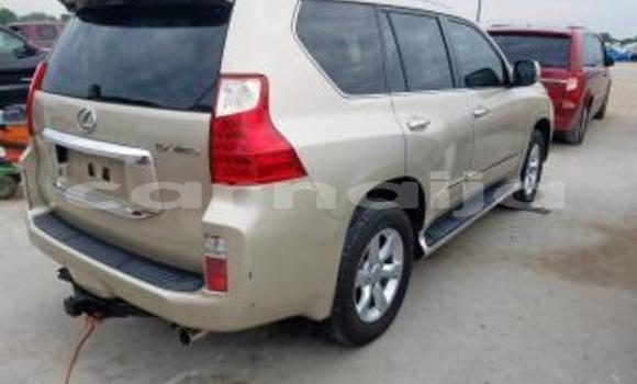Acheter Neuf Voiture Lexus GX Blanc à Achalla, État d'Anambra Acheter Neuf Voiture Lexus GX Blanc à Achalla, État d'Anambra