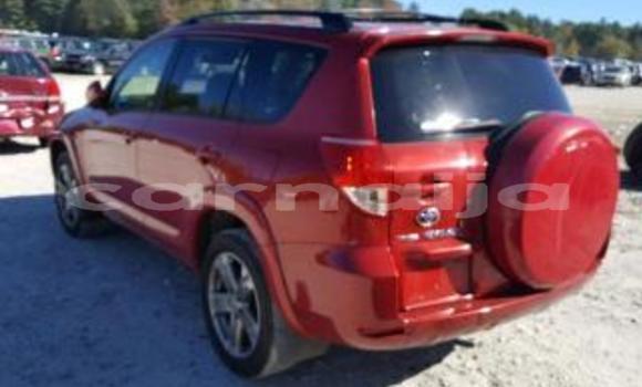 Acheter Neuf Voiture Toyota RAV4 Rouge à Aguobu–Owa, État d'Enugu