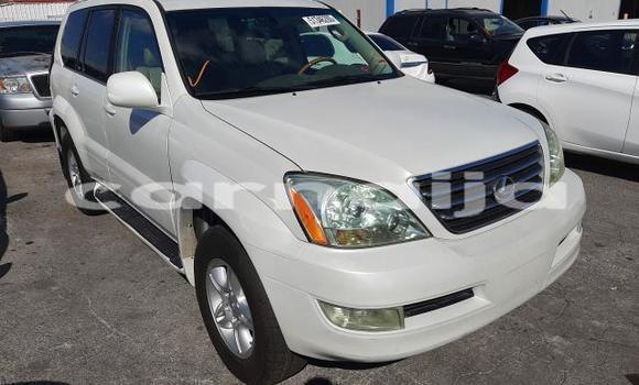 Buy New Lexus GX White Car in Abadan in Borno