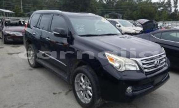 Acheter Neuf Voiture Lexus GX Blanc à Abadan, Borno Acheter Neuf Voiture Lexus GX Blanc à Abadan, Borno