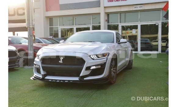 Acheter Import Voiture Ford Mustang Blanc à Import - Dubai, État d'Abia Acheter Import Voiture Ford Mustang Blanc à Import - Dubai, État d'Abia