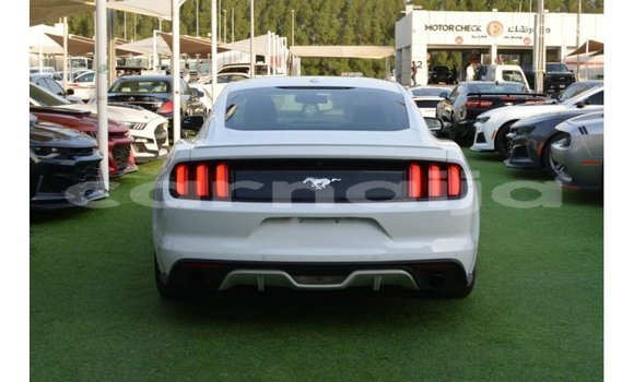 Acheter Import Voiture Ford Mustang Blanc à Import - Dubai, État d'Abia Acheter Import Voiture Ford Mustang Blanc à Import - Dubai, État d'Abia