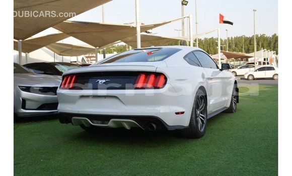 Acheter Import Voiture Ford Mustang Blanc à Import - Dubai, État d'Abia Acheter Import Voiture Ford Mustang Blanc à Import - Dubai, État d'Abia