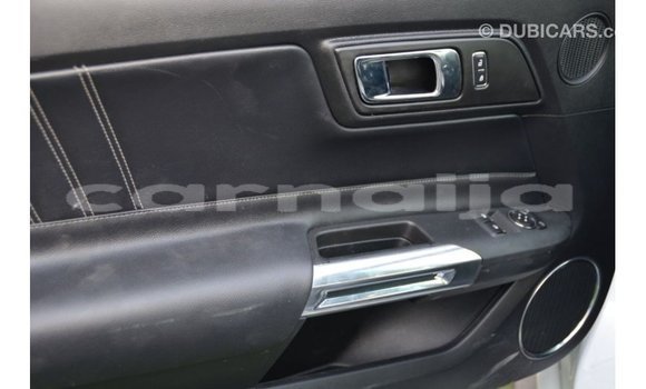 Acheter Import Voiture Ford Mustang Blanc à Import - Dubai, État d'Abia Acheter Import Voiture Ford Mustang Blanc à Import - Dubai, État d'Abia